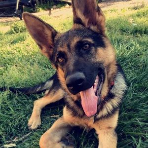 Meet your Posher, Guadalupe